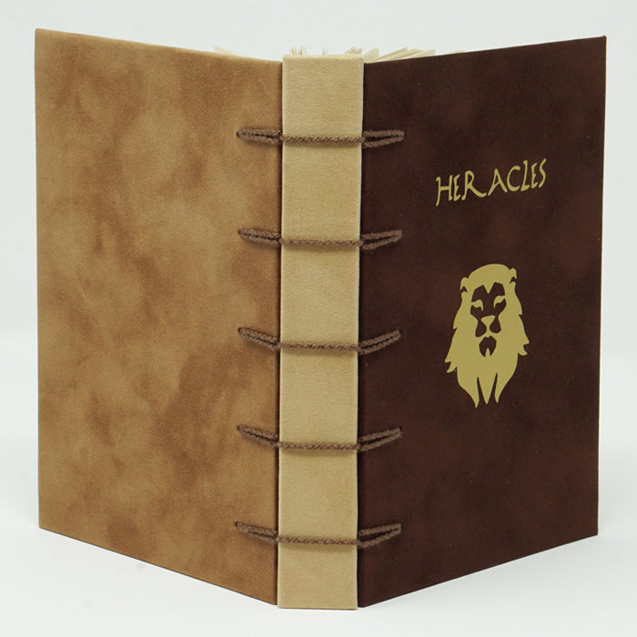 Diario "Ercole" - immagine 5